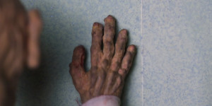 wayfarerbondprogramma